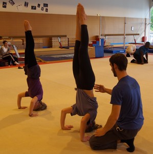 trépieds 