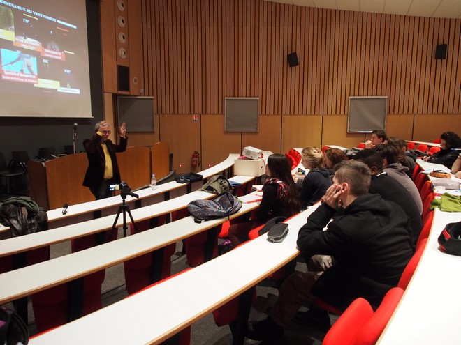 Amphi