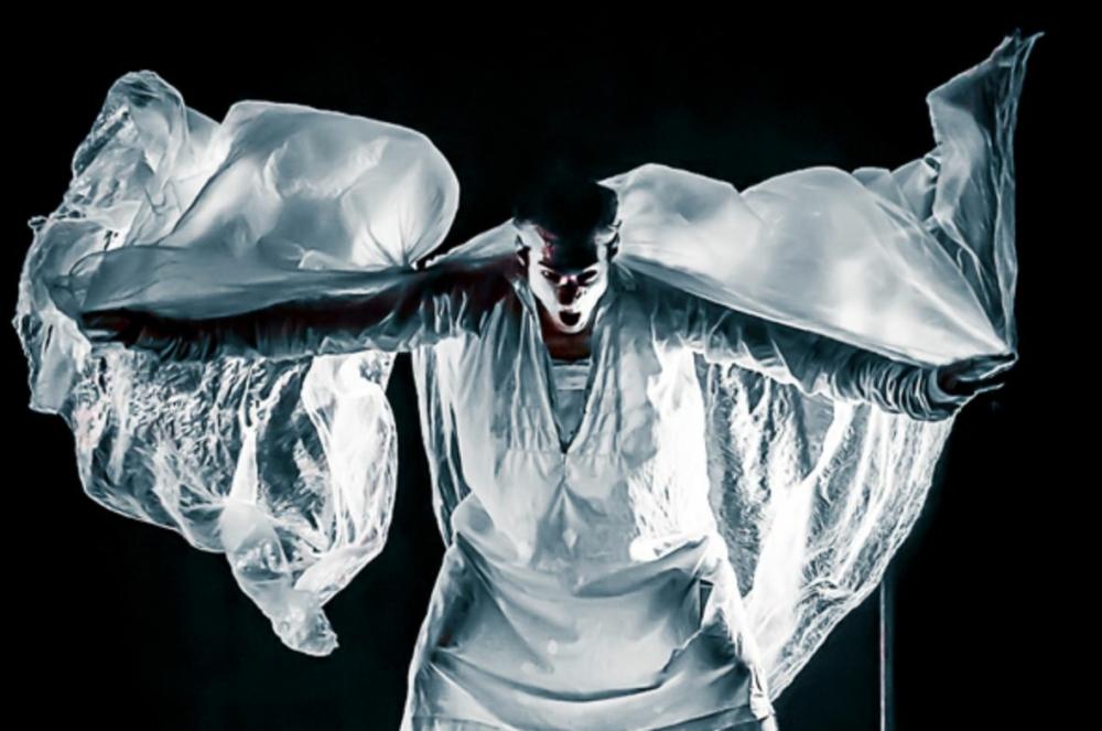 Le delirium du papillon fabien debrabandere 1000x663