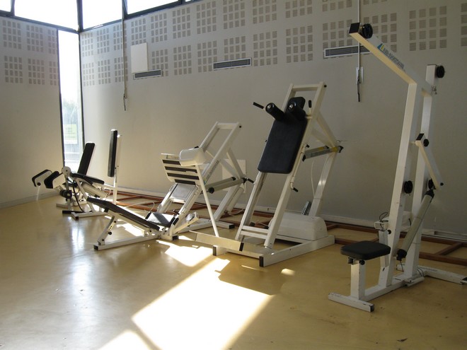 Muscul 2