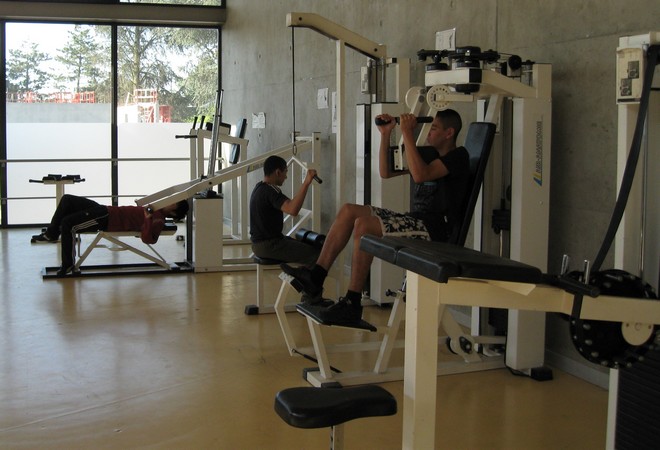 Muscul