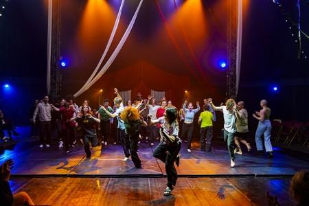 Spectacle fin