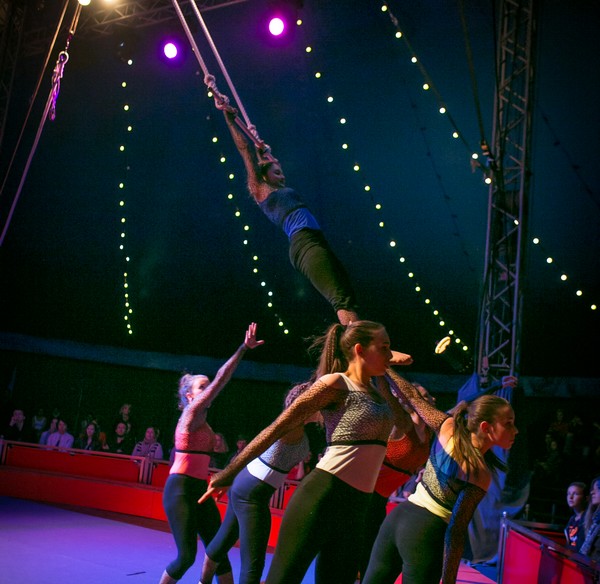 Trapeze bis